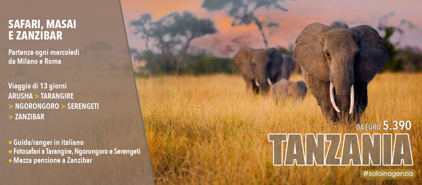 Tutto Tanzania 2027