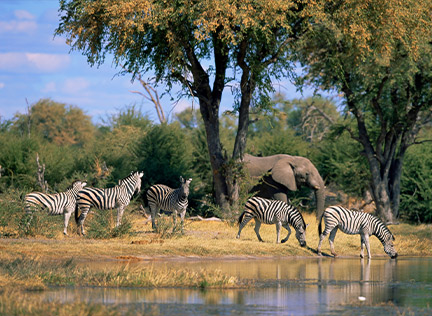 CASCATE VITTORIA & BOTSWANA