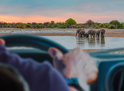 NAMIBIA IN LIBERT&agrave;