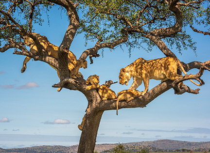 TANZANIA