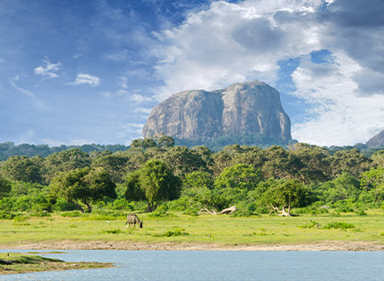 SRI LANKA