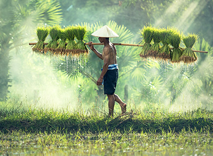 INDONESIA
