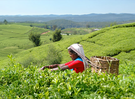SRI LANKA