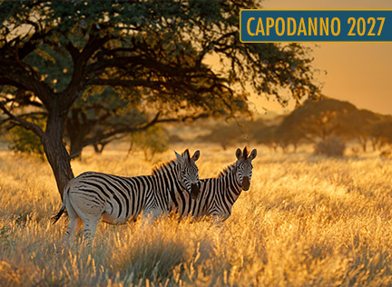 SUDAFRICA