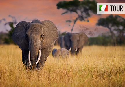 TANZANIA