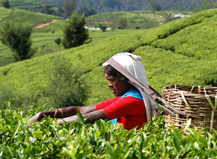 SRI LANKA