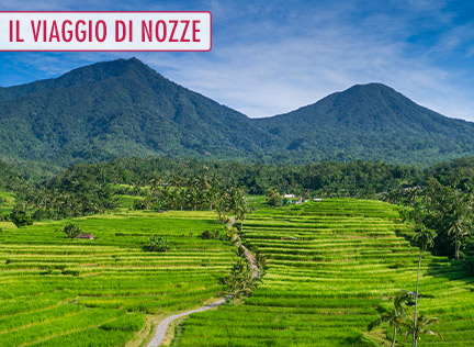 INDONESIA